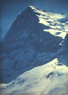 eiger31
