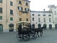 Lucca