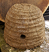 Bienenstock